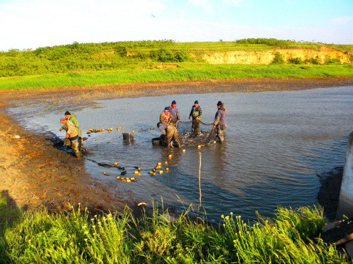 poza 008 - PESCUIT 2012