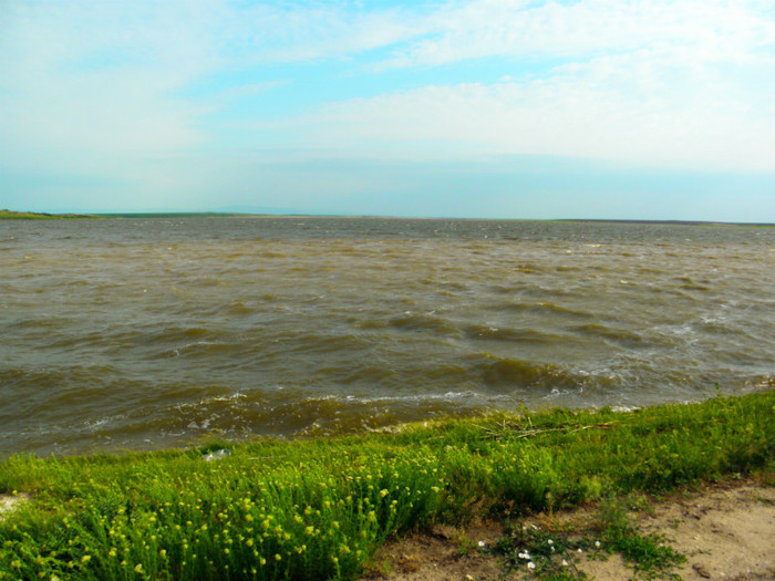 poza 012 - PESCUIT 2012