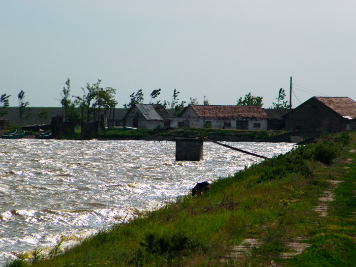 poza 016 - PESCUIT 2012