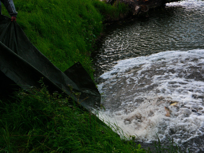 poza 052 - PESCUIT 2012