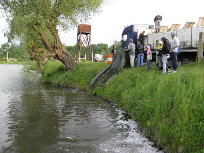 poza 054 - PESCUIT 2012