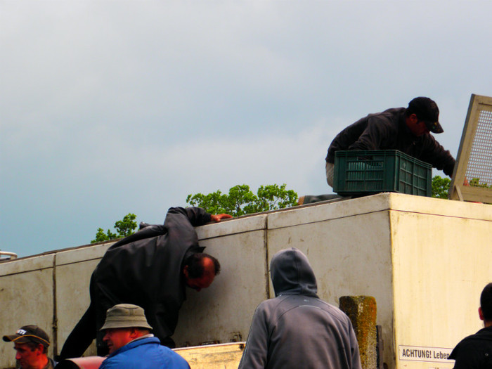 poza 085 - PESCUIT 2012