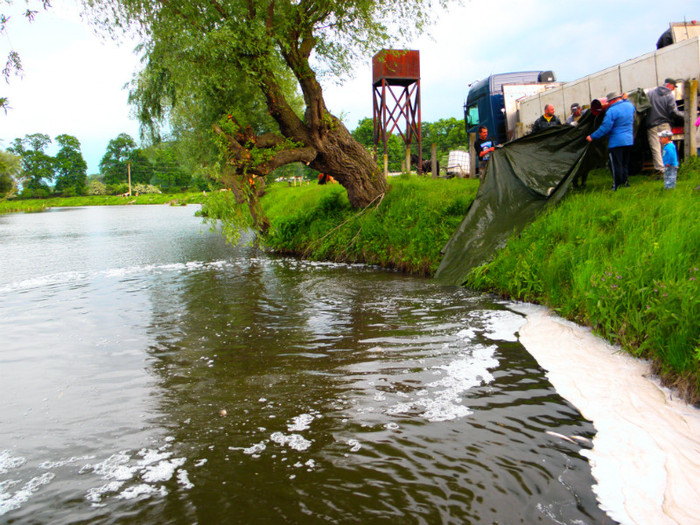 poza 098 - PESCUIT 2012