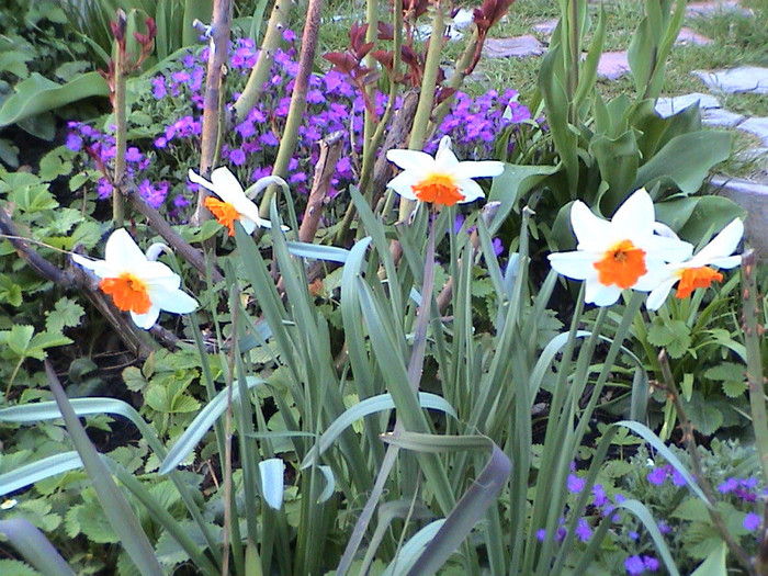 DSC00201
