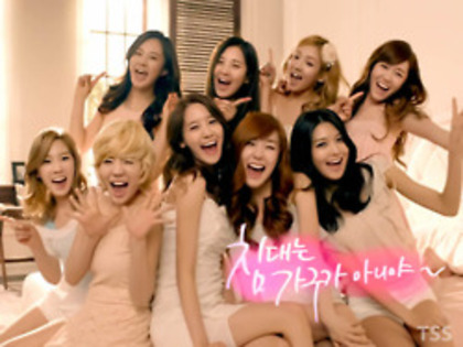 tumblr_m2pegkdGKC1roni8jo4_250 - SNSD