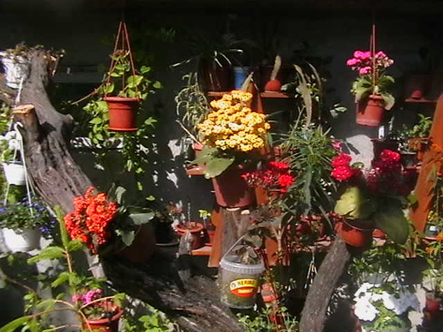 Picture 019