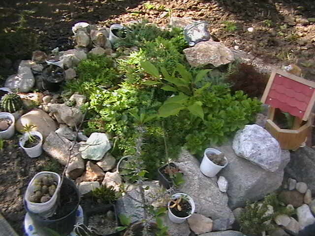 Picture 026