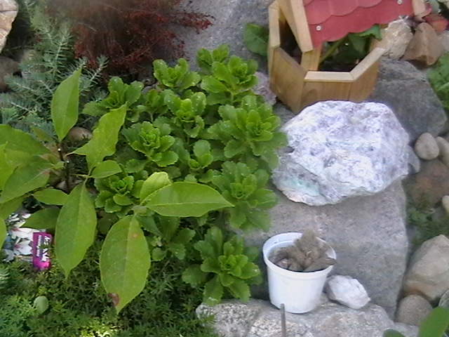 Picture 027