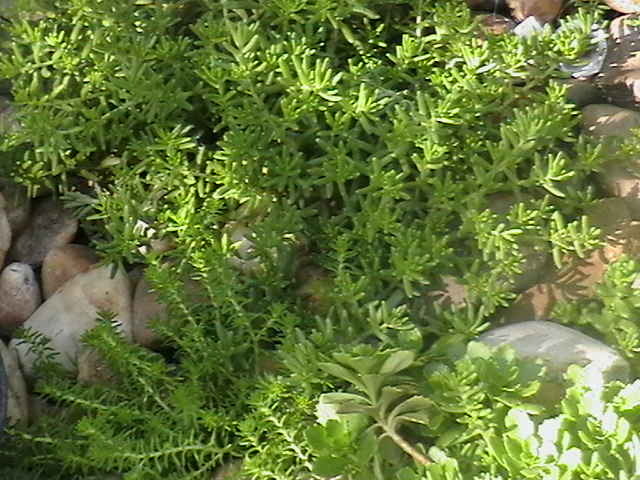 Picture 028