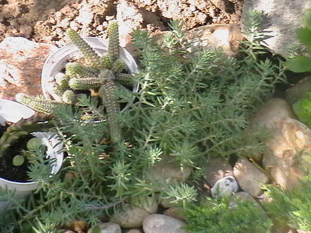 Picture 029