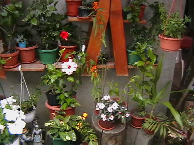 Picture 055