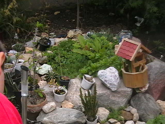 Picture 061