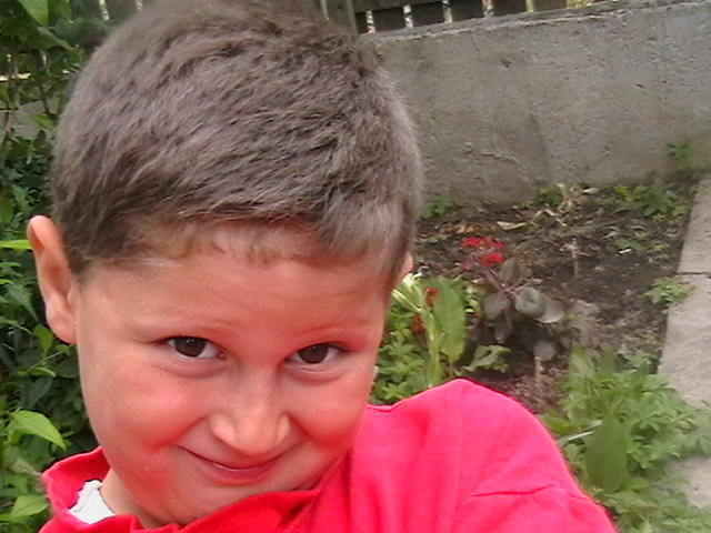 Picture 062