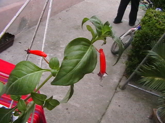Picture 069