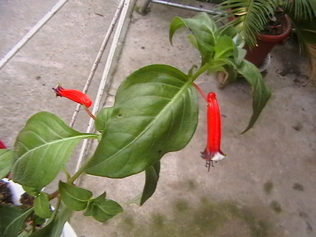 Picture 071