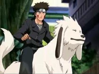 6 - Kiba Inuzuka