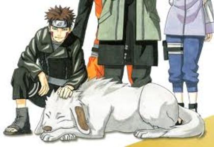 35 - Kiba Inuzuka