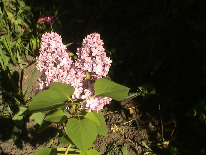 DSC00109