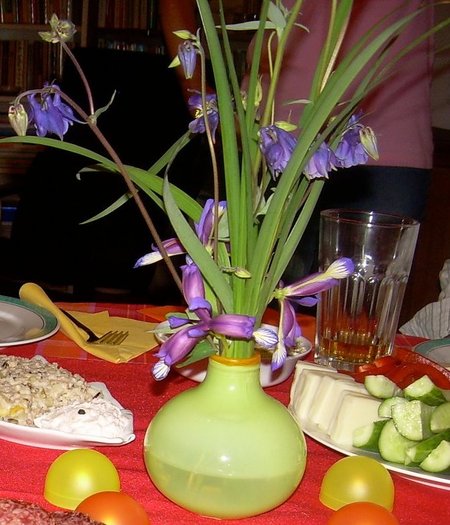 Iris graminea si caldaruse...