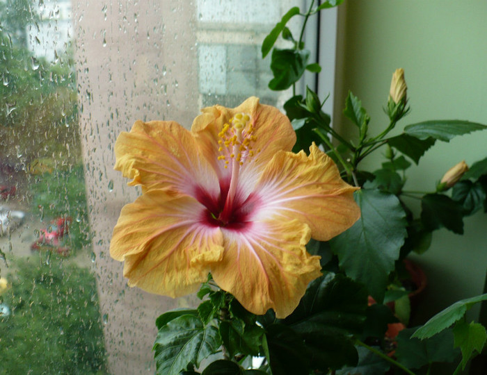 P1390262