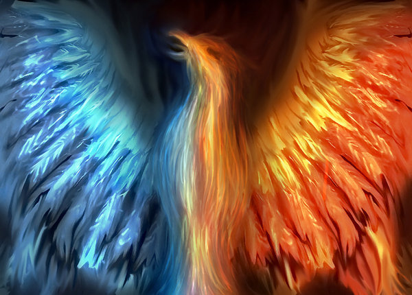 Phoenix_by_o_eternal_o; jumatate foc jumatate apa asa pare
