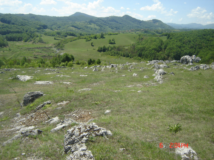 7 - ponoare-sarbatoarea liliacului