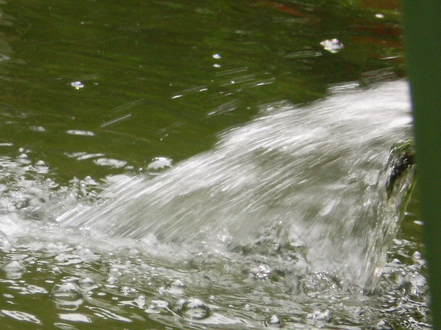 P5160348 - lacul si cascada