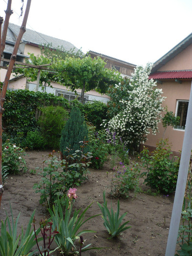 P1130752 - GRADINA 2012