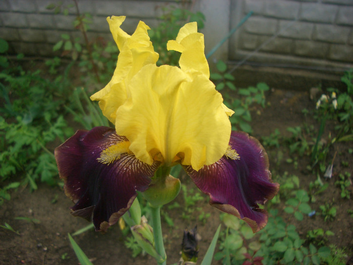 CIMG5098