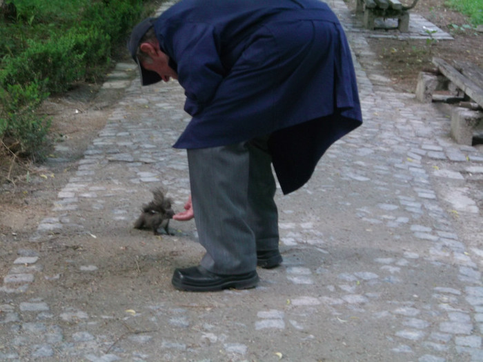 IL CUNOASTE TOATA STATIUNEA