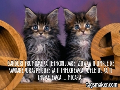  - VIATA IUBIRE SI PRIETENIE  1