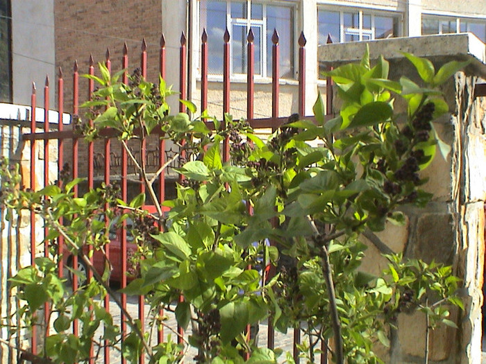 DSC00067