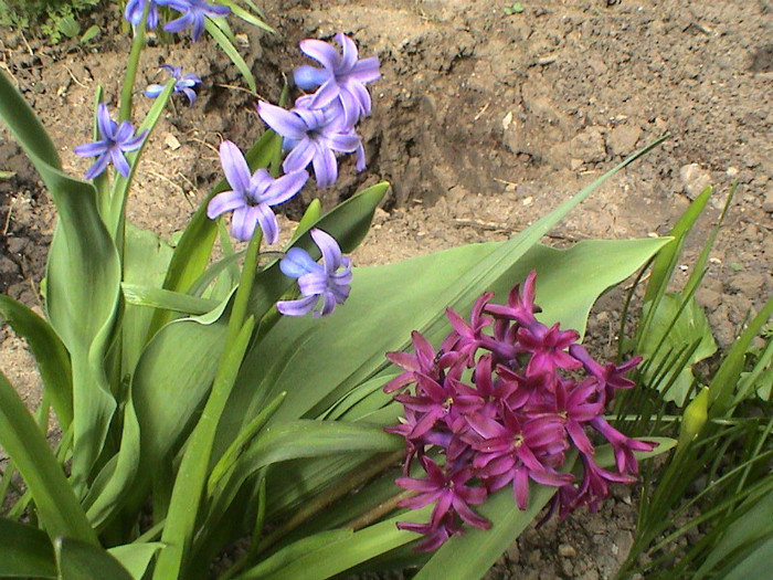 DSC00051