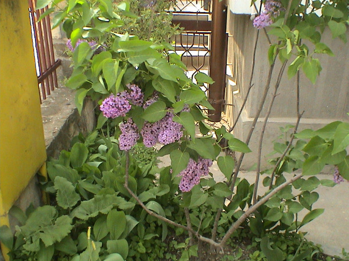 DSC00096