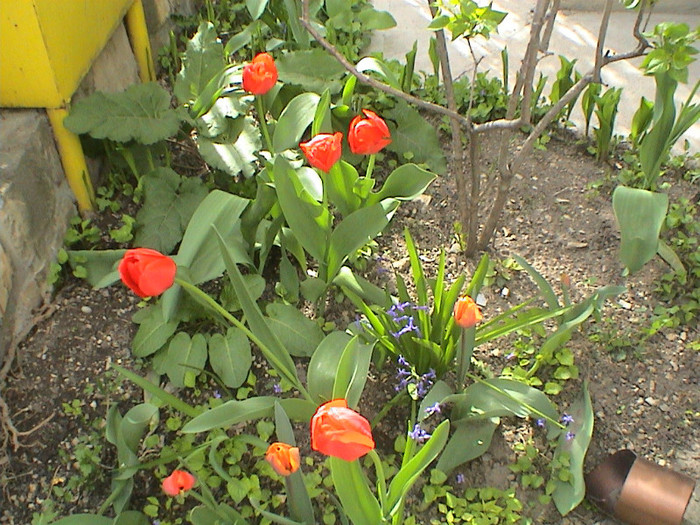 DSC00065