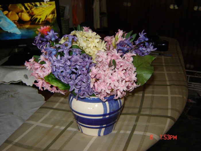 DSC03749