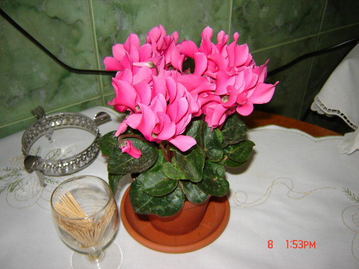 DSC03750