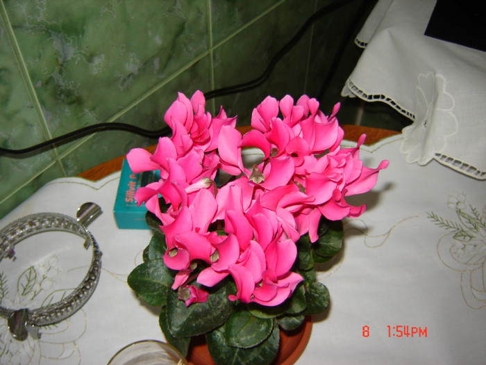 DSC03751
