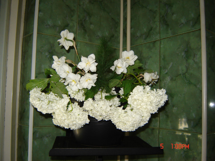 DSC03756