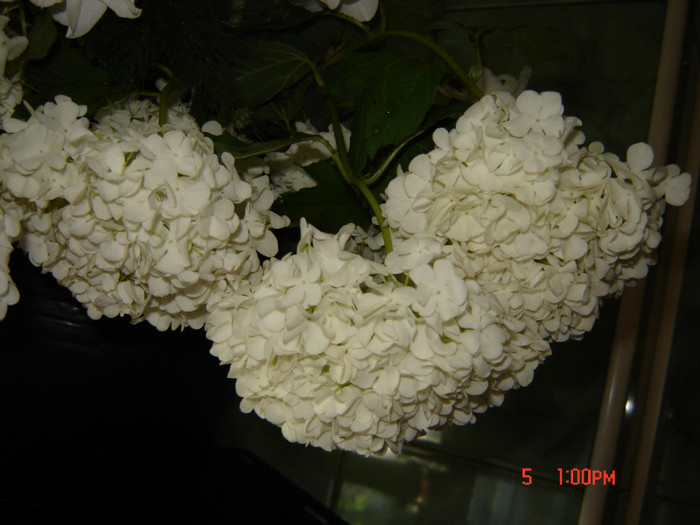 DSC03758