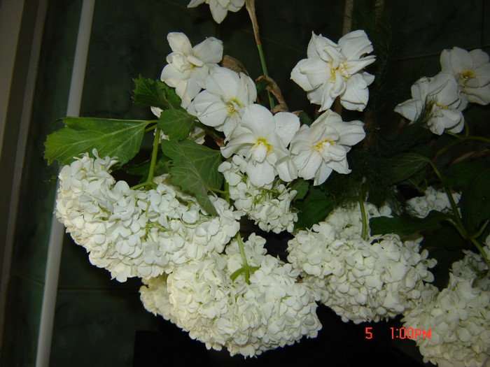 DSC03760