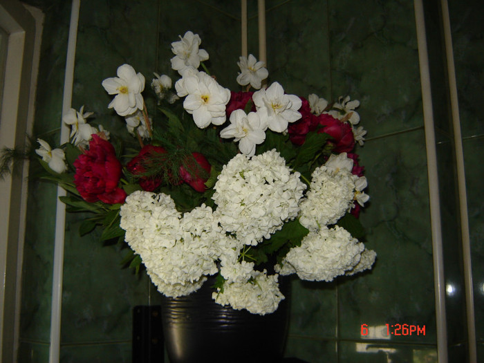DSC03761