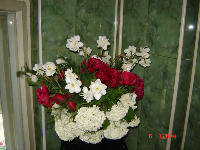 DSC03762