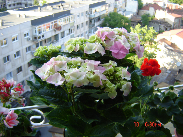DSC03769