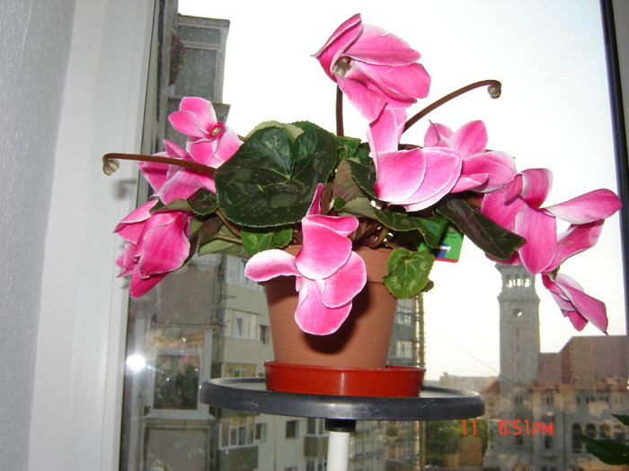 DSC03771