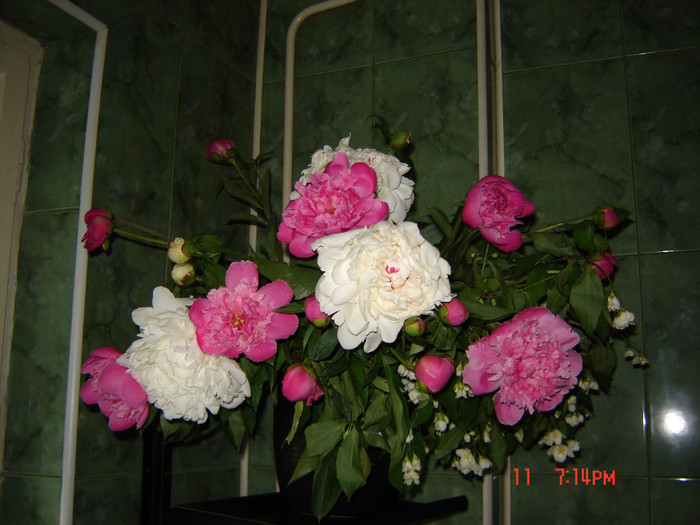 DSC03773
