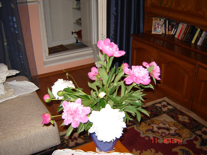 DSC03778 - FLORI 2012