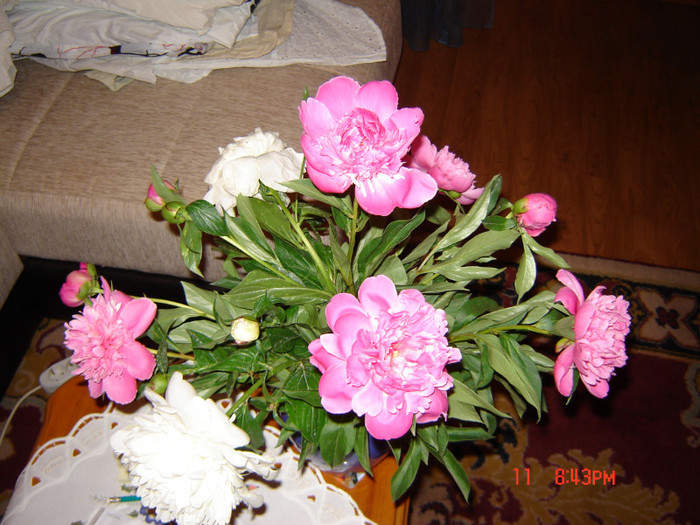 DSC03779 - FLORI 2012