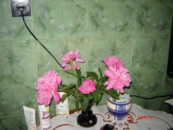 DSC03789
