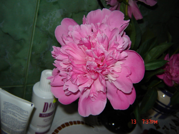 DSC03790